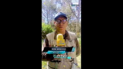 Estudiantes de la UMSA limpian el Bosquecillo de Pura Pura