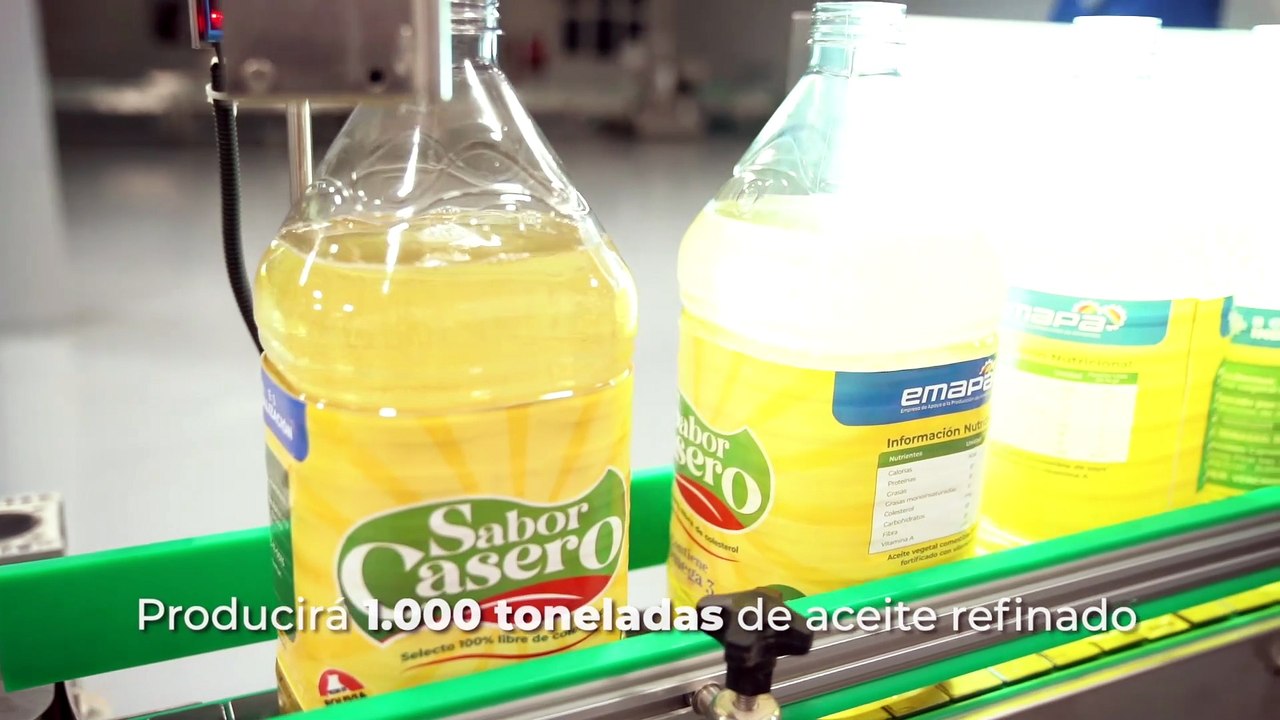 ATB CIENCIA - Investigadores estudian los temidos hongos zombis