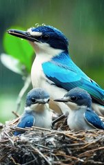 A mother's instincts are divine🥰