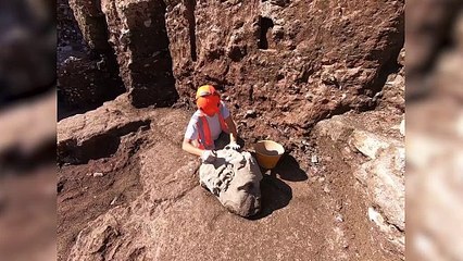 Hallan una imponente cabeza de mármol durante excavaciones en el centro de Roma