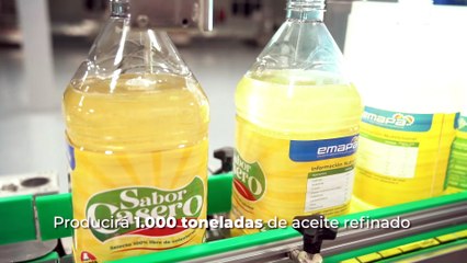 ATBEXPLICA - La historia de Margo: una gatita que fue abandonada a los 9 años y vivió hasta los 29