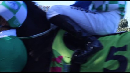 Corse e spettacolo: super domenica all'Ippodromo Snai San Siro