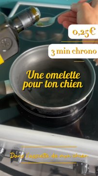 Faire à manger pour son chien c’est très facile parfois ! Même quand on a rien à la maison 💪