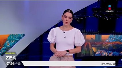 Puma caza y ataca a un gato en Nuevo León