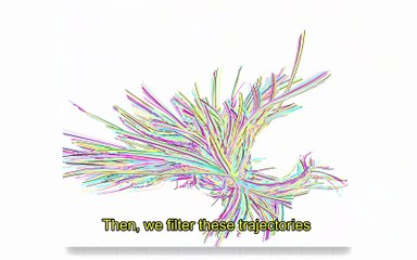 Use of tropolink for a case study: Uncovering the seasonal routes of a plant-pathogen insect vector