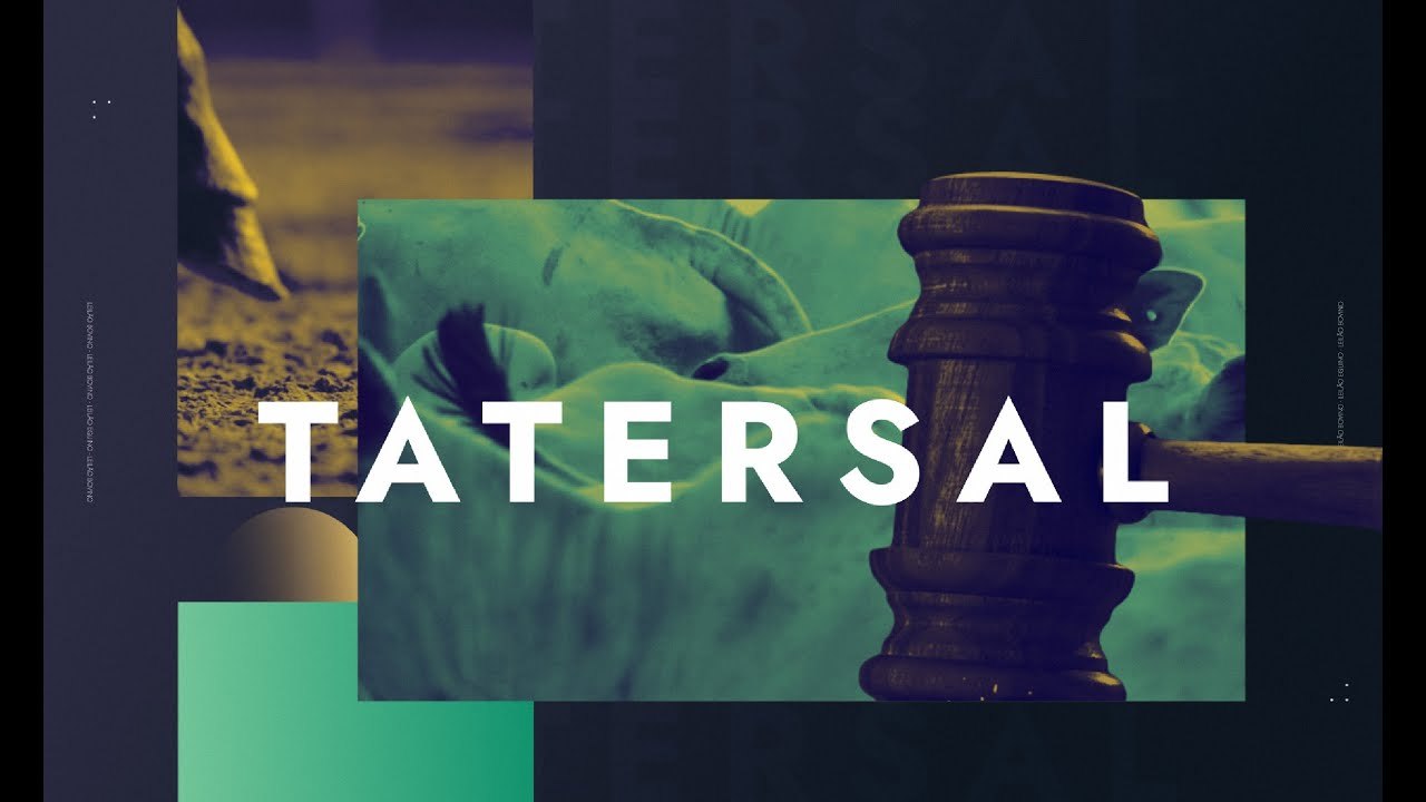 TATERSAL - 24/06/2025
