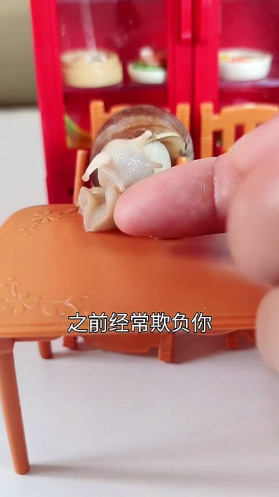 The little snail's daily meal