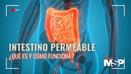 Intestino Permeable: Todo lo que Necesitas Saber para Mejorar tu Salud 🩺