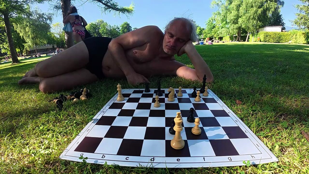 Many queen sacrifices in chess – Study by Peter Krug