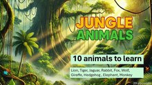 A1 English Level || Learning 10 Jungle Animals (with audio+quiz+cartoons)  || EnglishForKids