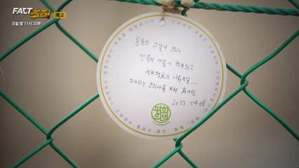 6·25 전쟁 75주년 연속 기획...사라진 흔적, 남겨진 이야기② [오늘 밤 팩트추적] / YTN