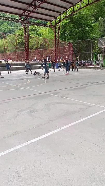 ssstik.io_@user2153840538022_1750796156012