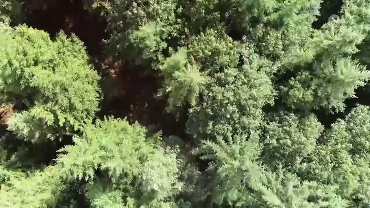 2 Der Masuren Krimi -02- Fangschuss - video Dailymotion