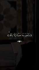 #ارح_سمعك_بالقران #قران #قران_كريم #فارس_عباد    #اكتب_شي_توجر_عليه #alaa_mustafa_1