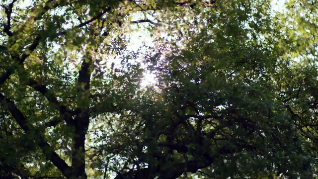 Descubre El País Vasco: Cultura, Gastronomía Y Paisajes Sorprendentes