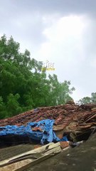 गाँव और बरसात 🌨️☂️🌳 #village #villagelife #song #reel #love #video #trending #viral