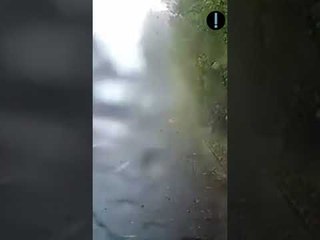 Bombardeios russos deixam 12 mortos na Ucrânia #shorts