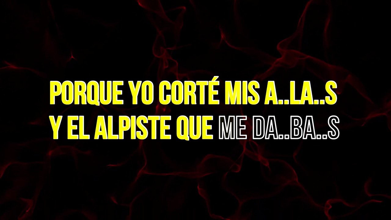 José José - Lo que no fue no será (KARAOKE)