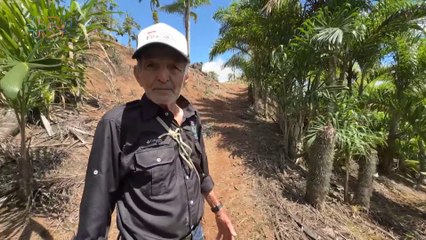 Don Chepe tiene 77 años y no ha dejado de sembrar ni de soñar