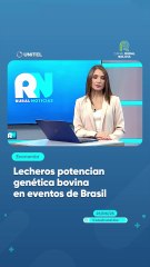Lecheros potencian genética bovina en eventos de Brasil