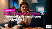 ¿Cómo afecta la ingesta de alimentos por cuestiones emocionales?