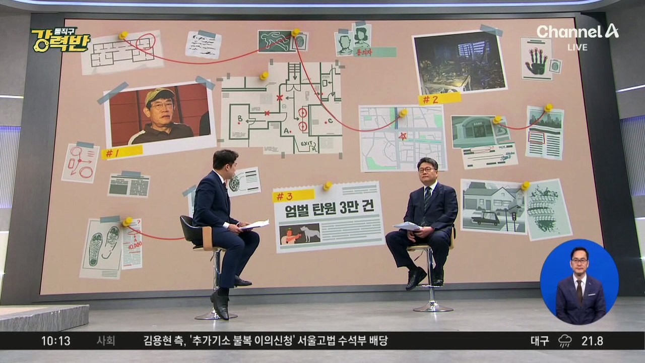 [돌직구 강력반]‘반려견 비비탄 난사’에 공분…엄벌 촉구 서명 운동