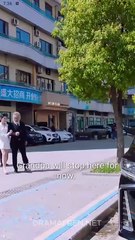 THE REAL HEIRESS WAKES UP SAVAGE