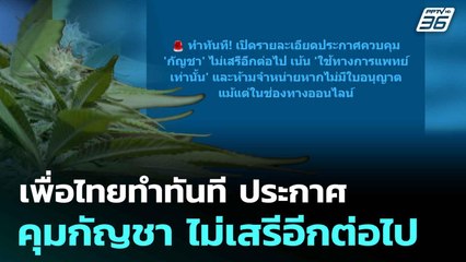 เพื่อไทยทำทันที ประกาศคุมกัญชา ไม่เสรีอีกต่อไป | โชว์ข่าวเช้านี้  | 25 มิ.ย. 68