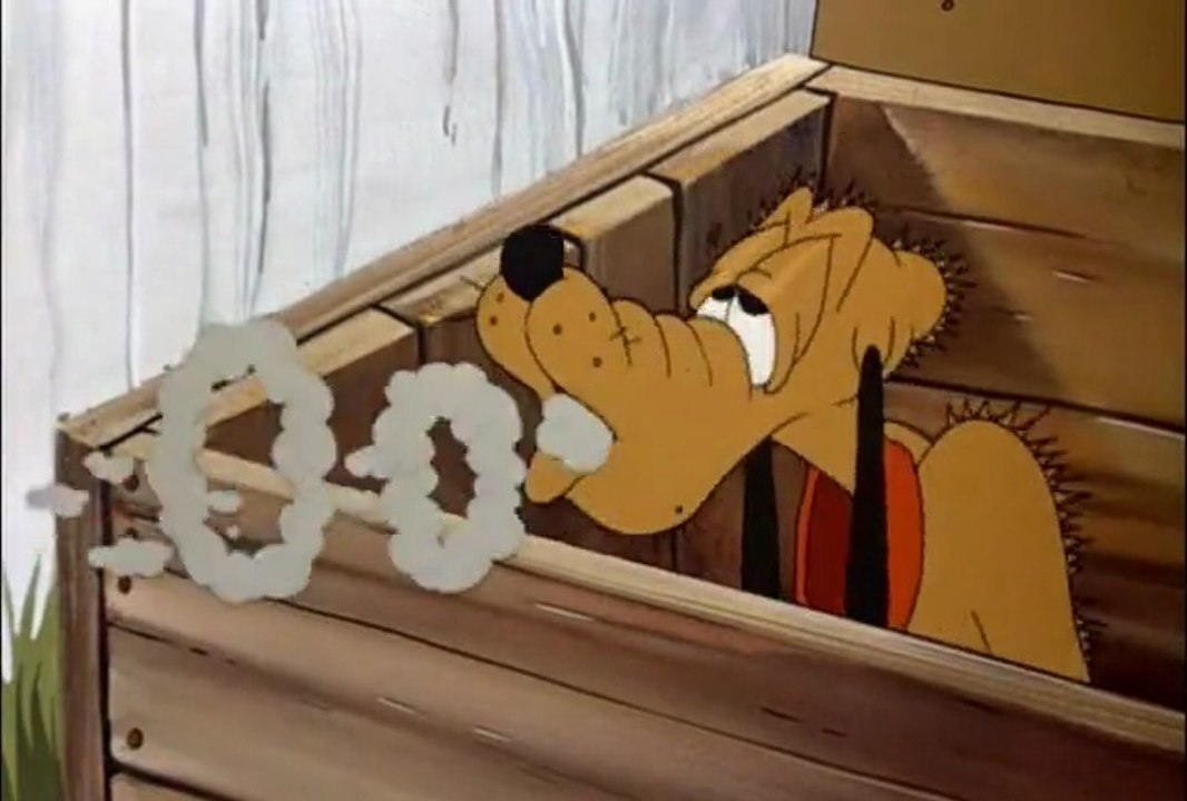 Pluto's Kid Brother (1946)