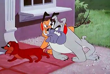 Pluto's Heart Throb (1950)