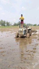 Trending and Viral Highlights 🌟