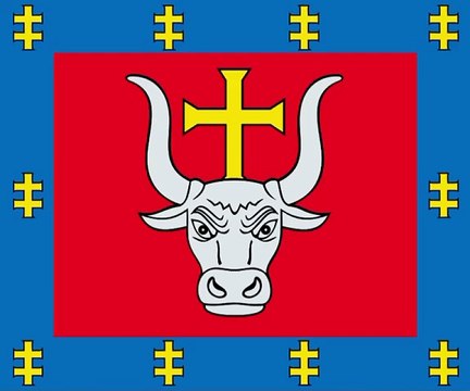 Flag of Kaunas County. Bendera Kabupaten Kaunas. Kaunas County Flag. Flag of County of Kaunas. County of Kaunas Flag. Kauno apskrities vėliava. Drapeau du comté de Kaunas. Bandeira do Condado de Kaunas. Bandera del condado de Kaunas. カウナス郡の旗. 考纳斯县旗帜