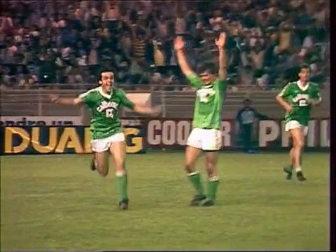 Fanion Finale Coupe De France 1981/1982 PSG Vs ASSE Saint-Étienne - Souvenir De Collection