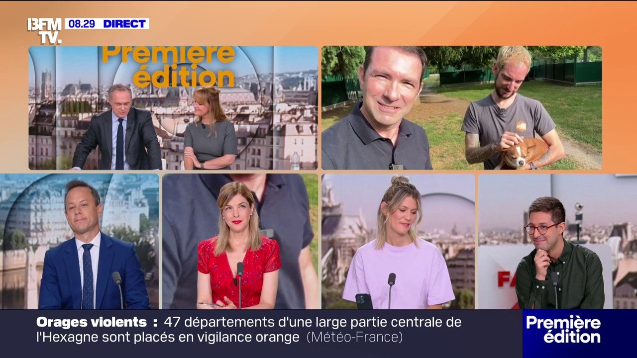 "Merci d'avoir été fidèles à Première Édition": Adeline François quitte BFMTV après 8 ans à la tête de la matinale