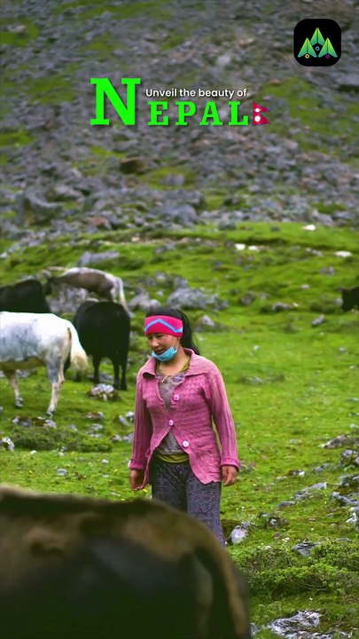 This is Nepal🏔️✨ Unreal Views & Peaceful Vibes #shorts #nepal #adventure #bucketlisttravel #pokhara