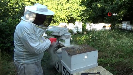 Dedesinin nasihatiyle başladı, şimdi 1 ton bal hedefliyor