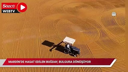 Mardin’de hasat edilen buğday, bulgura dönüşüyor