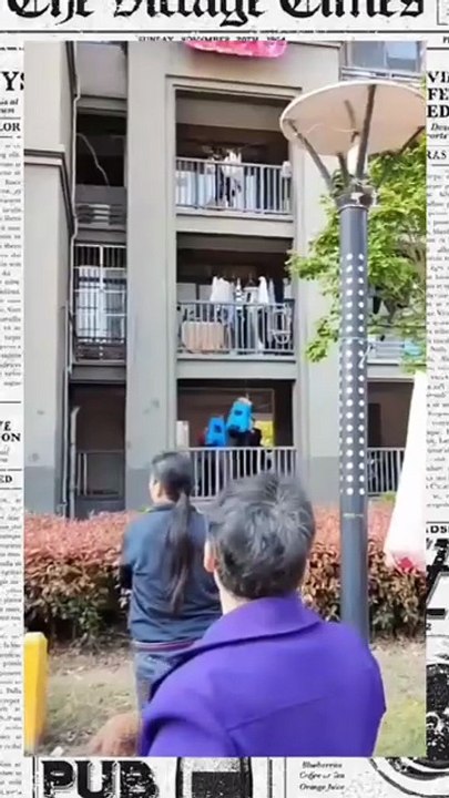 Public save hanging cat 😺 animals love 😘 cat lover 😍💞 new viral video 😍📸#shorts #shortvideos #viralvideos #viralshorts #funny #funnyvideos #comedy #kids #public #animals #cat #kittens #love #care