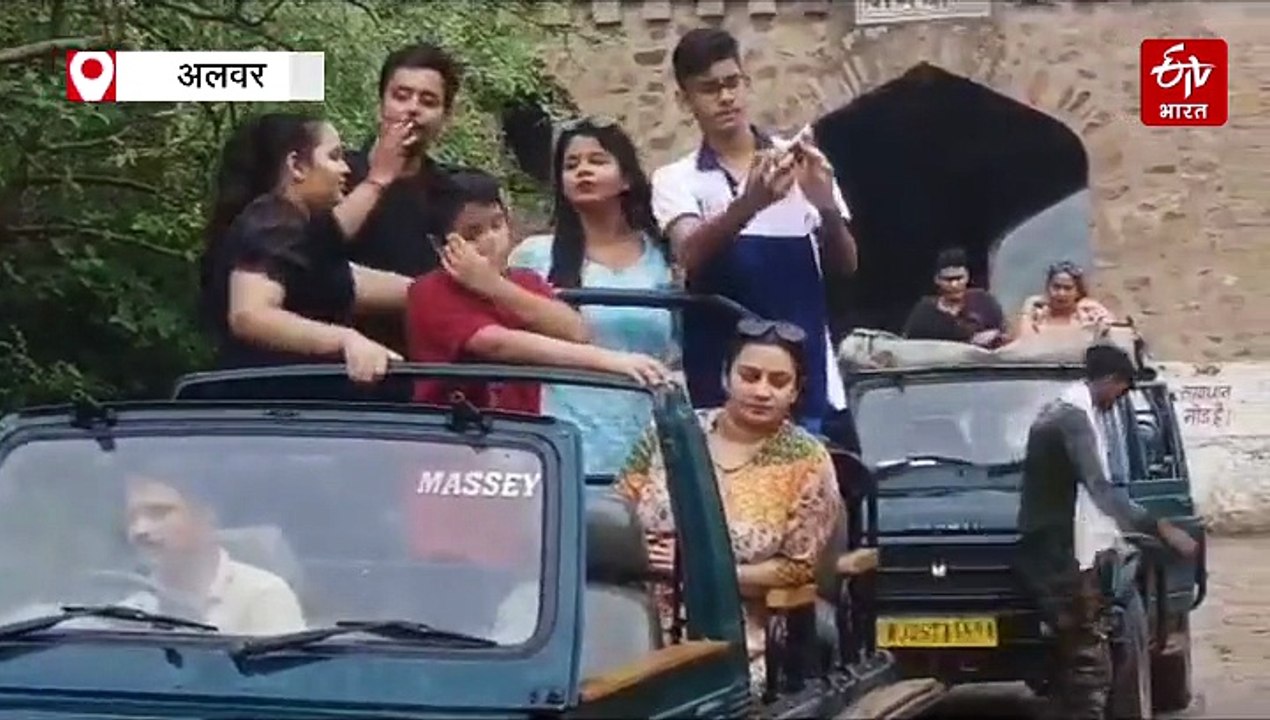 मानसून सीजन में भी पर्यटक उठा सकेंगे सफारी का आनंद, सरिस्का के बफर रेंज में रहेगी एंट्री