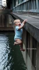 A dog save a baby  #dog #pets #shorts