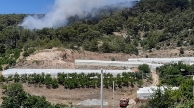 Antalya'da orman yangını! Müdahale devam ediyor