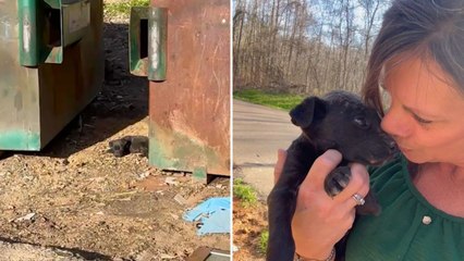 Rescuer Saves 'Scared And Starved' Puppy Abandoned And Left Next To Dumpster Weighing Just One Pound | Happily TV