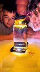 ترند الكركم.. علم مش سحر!