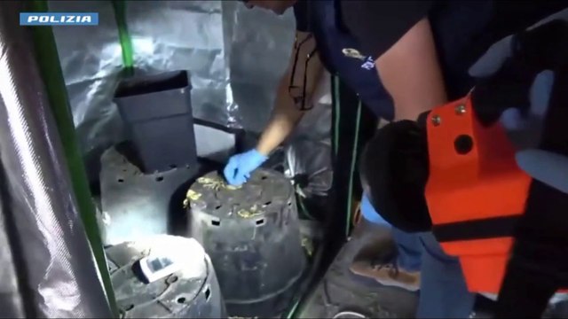 Operazione antidroga a Caltanissetta, 11 misure cautelari