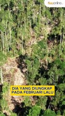 Modus Jual Lahan di Kawasan Tesso Nilo, Pelaku Mengaku Pemangku Adat