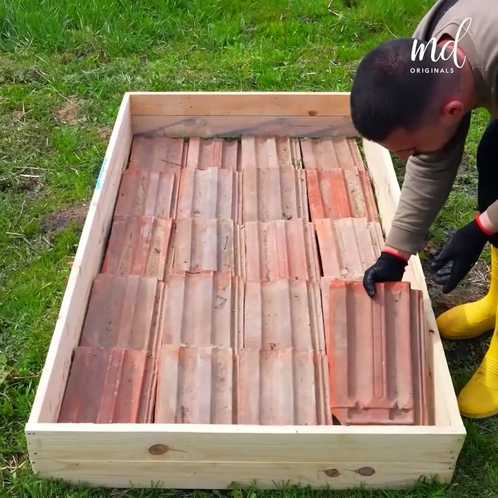 Veggie garden bed