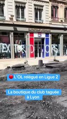 Les supporters de l'OL en colère après la rétrogradation en Ligue 2
