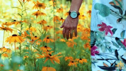 A PRESENÇA DO CONSOLADOR | Abraão & Salatiel cantando AO VIVO em  Momentos no Tabernáculo da Fé em Goiânia - GO - Brasil