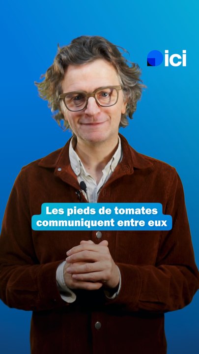 Le monde merveilleux du vivant - Les pieds de tomates