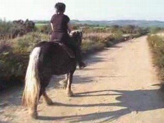 ruby en balade au pas